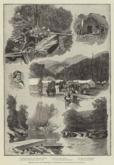 Pelorus Sound and Goldfields of Mahakipawa, Marlborough, New Zealand by Amedee Forestier